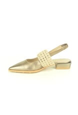 Hispanitas 15794 brons