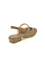 Hispanitas 15795 bruin