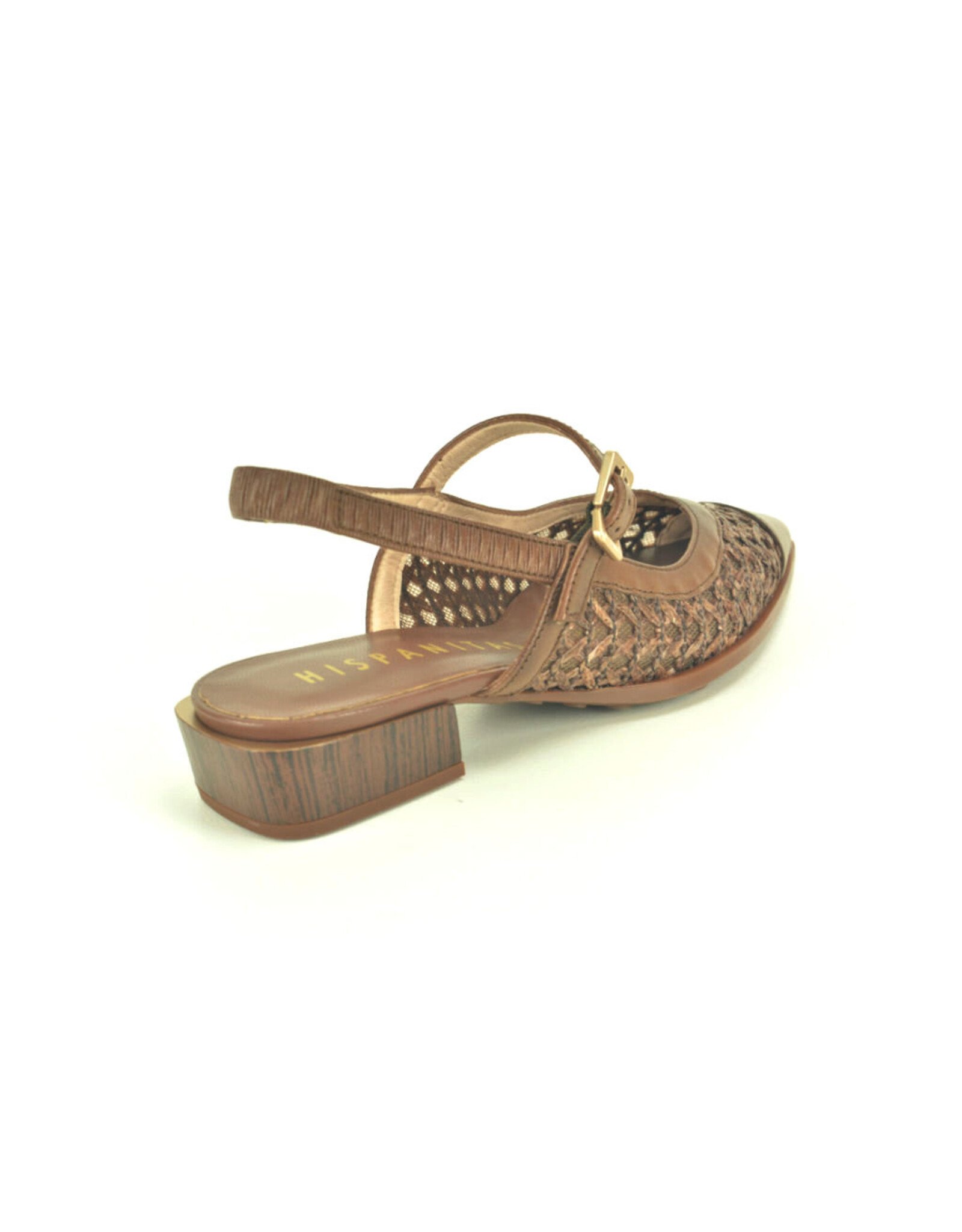 Hispanitas 15795 bruin