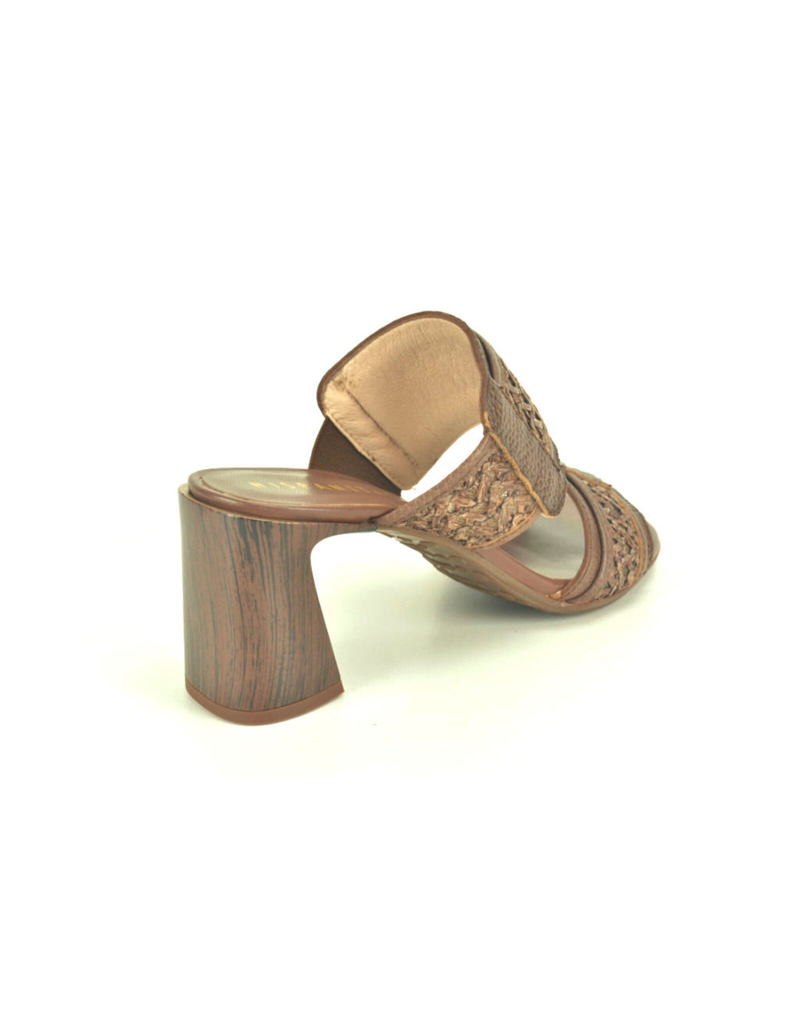 Hispanitas 15798 bruin