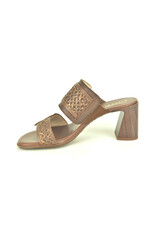 Hispanitas 15798 bruin