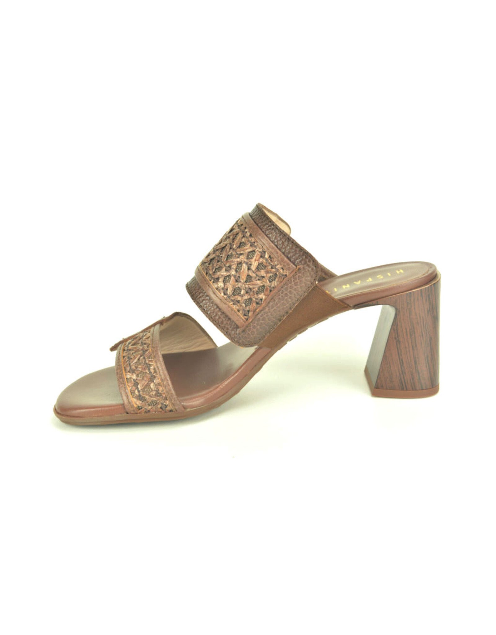 Hispanitas 15798 bruin