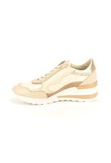 DL-Sport 15918 beige