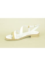 Nero Giardini 14739 wit