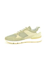 Nero Giardini 14743 taupe