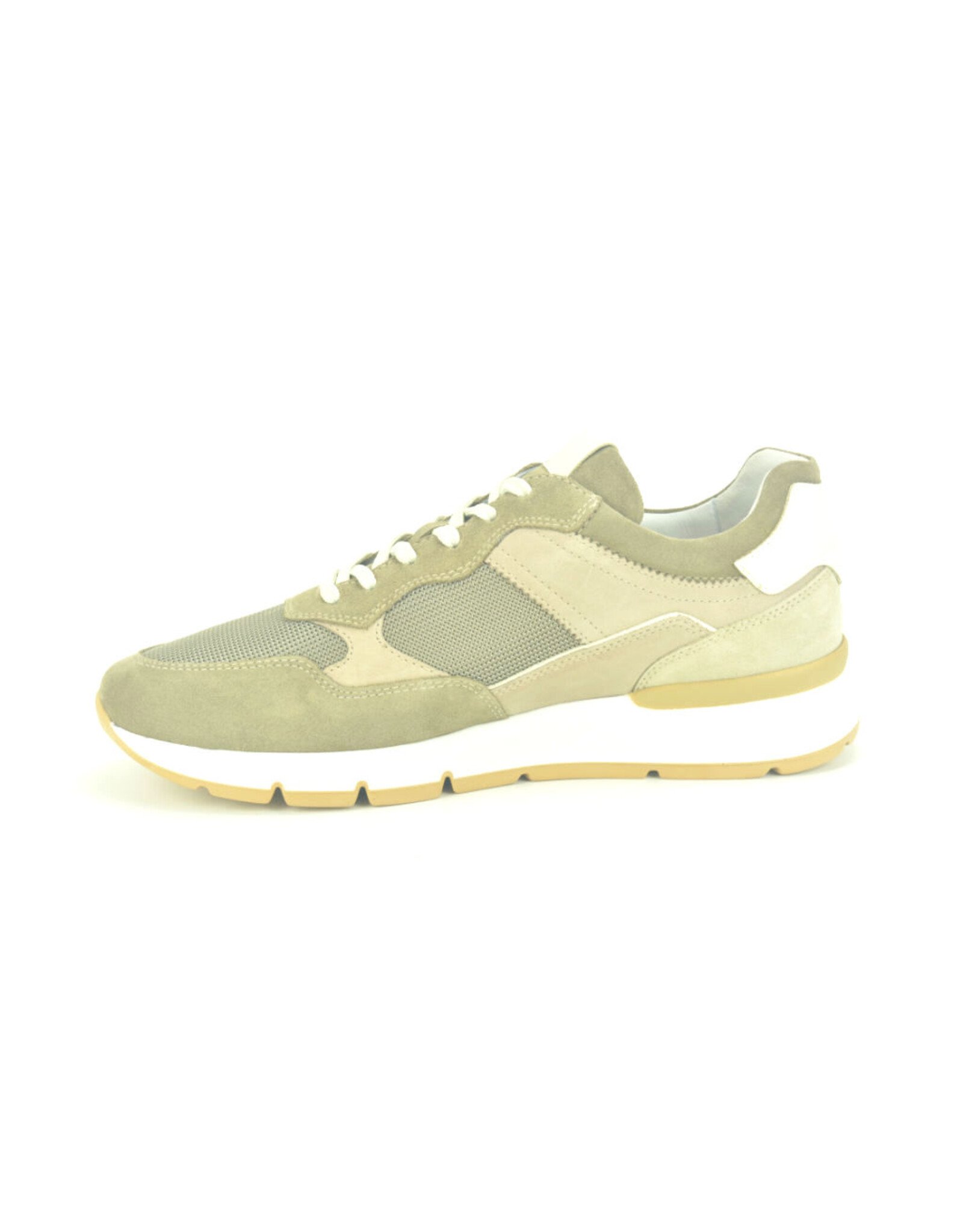 Nero Giardini 14743 taupe