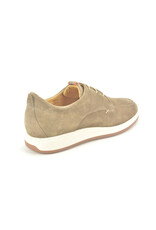 Berkelmans 15652 taupe