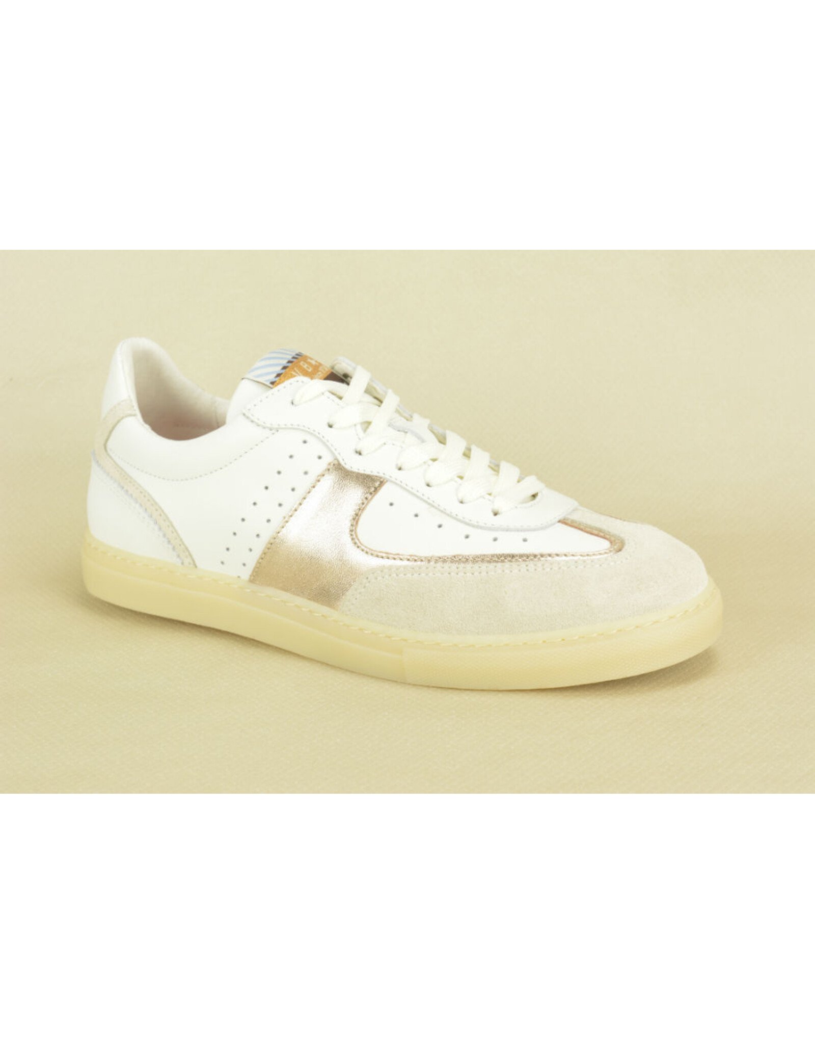 Floris van Bommel 15846 wit