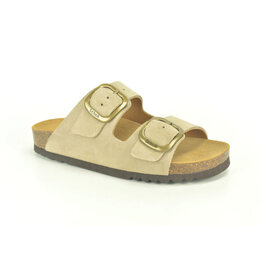 Scholl Slipper Scholl