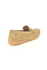 Fluchos 15664 camel