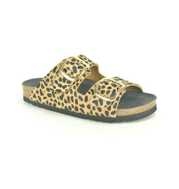 Scholl Slipper Scholl