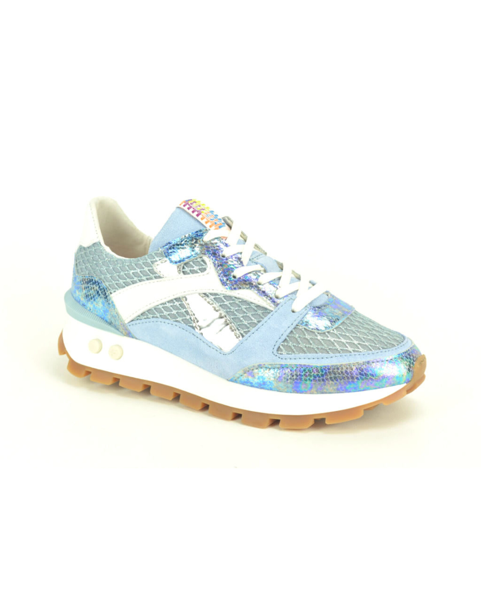 Floris van Bommel 15844 blauw