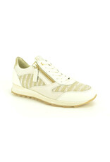 DL-Sport 15921 beige