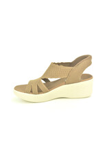 Skechers 15516 taupe