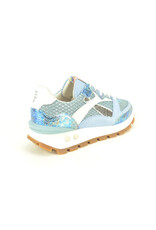 Floris van Bommel 15844 blauw