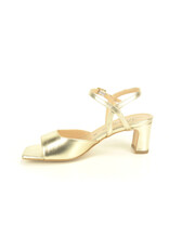 Altramarea 15866 goud