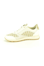 DL-Sport 15921 beige