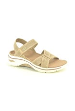 Skechers 15506 camel