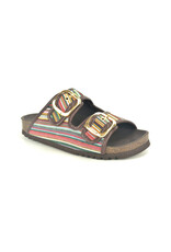 Scholl 15814 multicolor