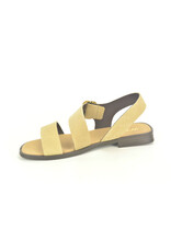 Wikers 15910 beige