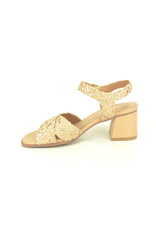 Carmela 15883 beige