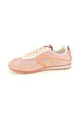 Verbenas 15890 roos