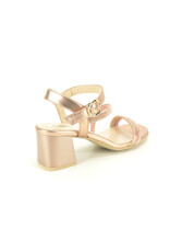 Nero Giardini 15776 roos