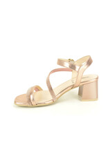 Nero Giardini 15776 roos
