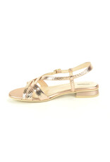 Nero Giardini 15777 roos