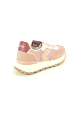 Verbenas 15894 roos