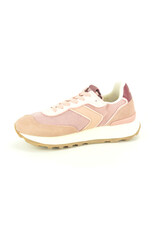 Verbenas 15894 roos