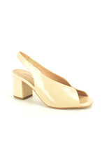 Altramarea 15864 beige