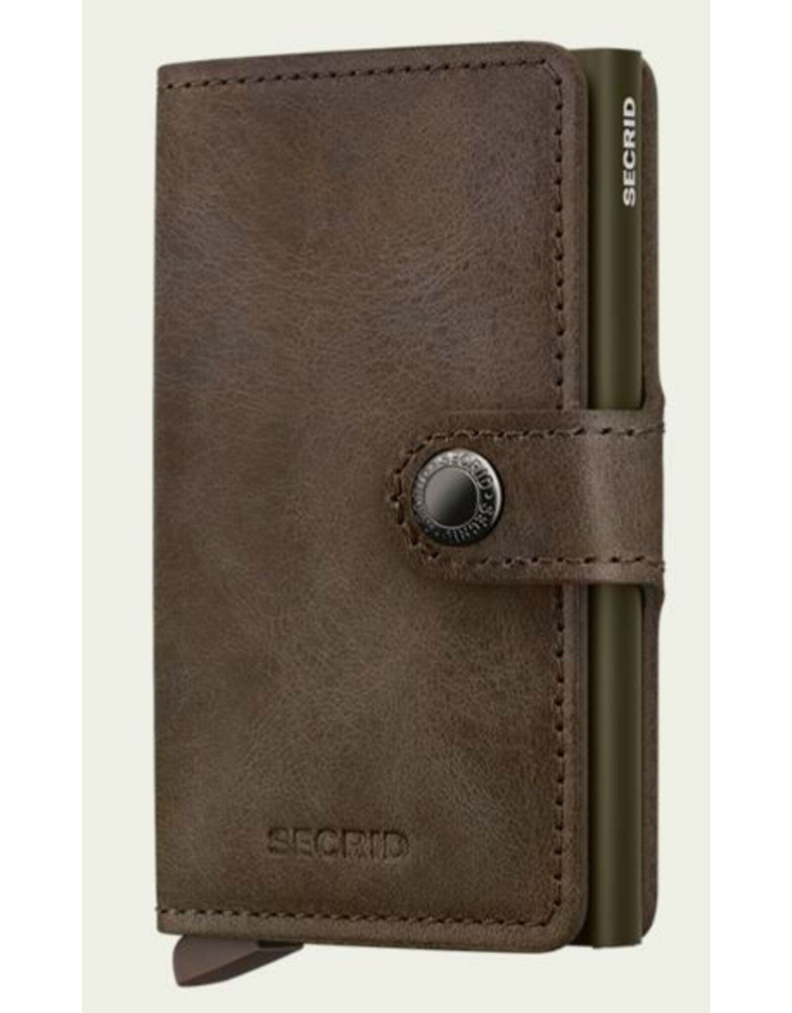 SECRID 16482 bruin