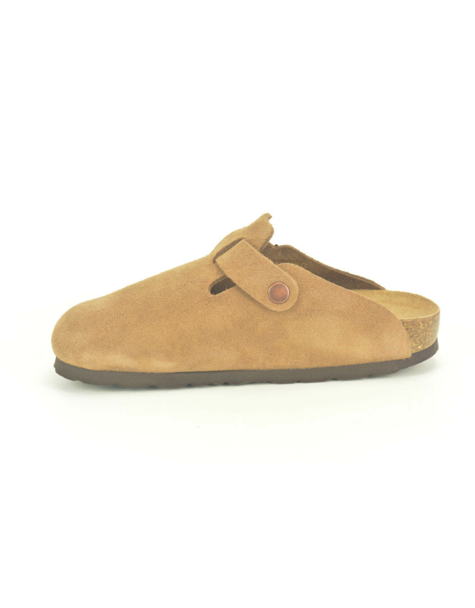 Rohde 16139 camel