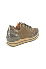 Gabor 16196 bruin