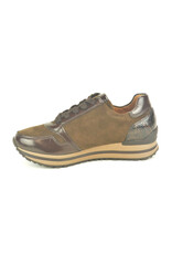 Gabor 16196 bruin
