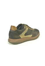 Fluchos 16255 bruin