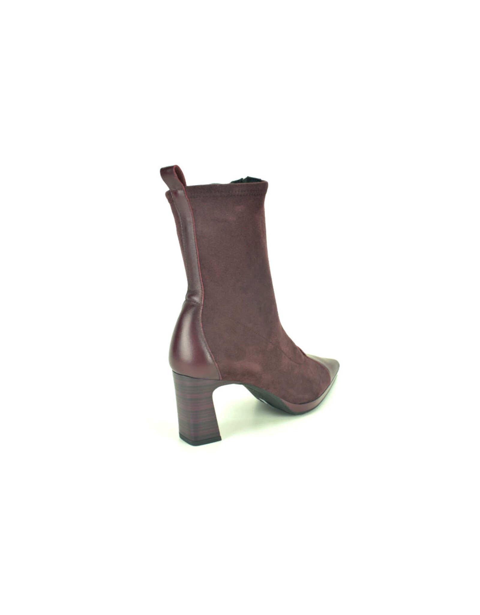 Hispanitas 16315 kleur