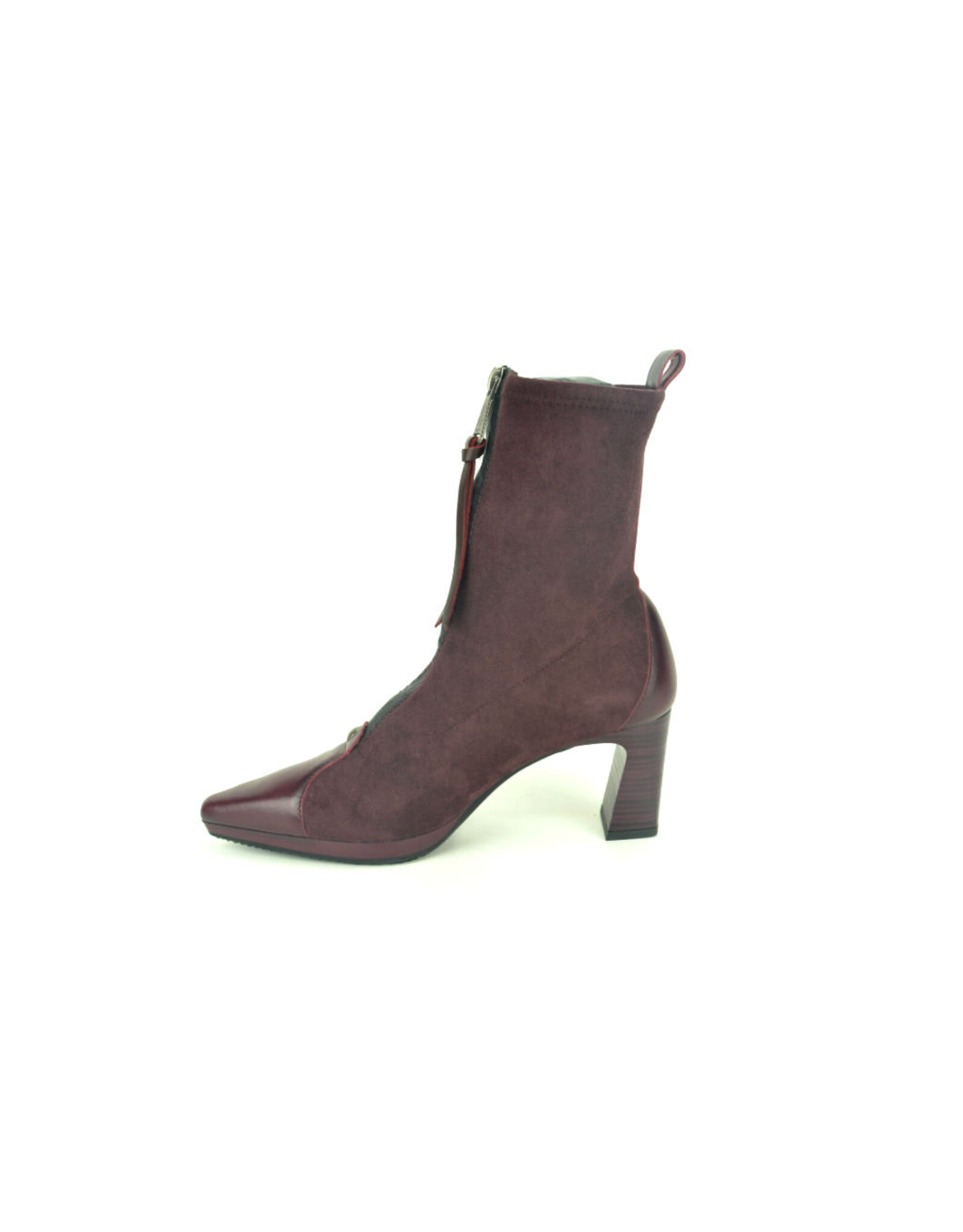 Hispanitas 16315 kleur