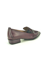 Hispanitas 16319 kleur