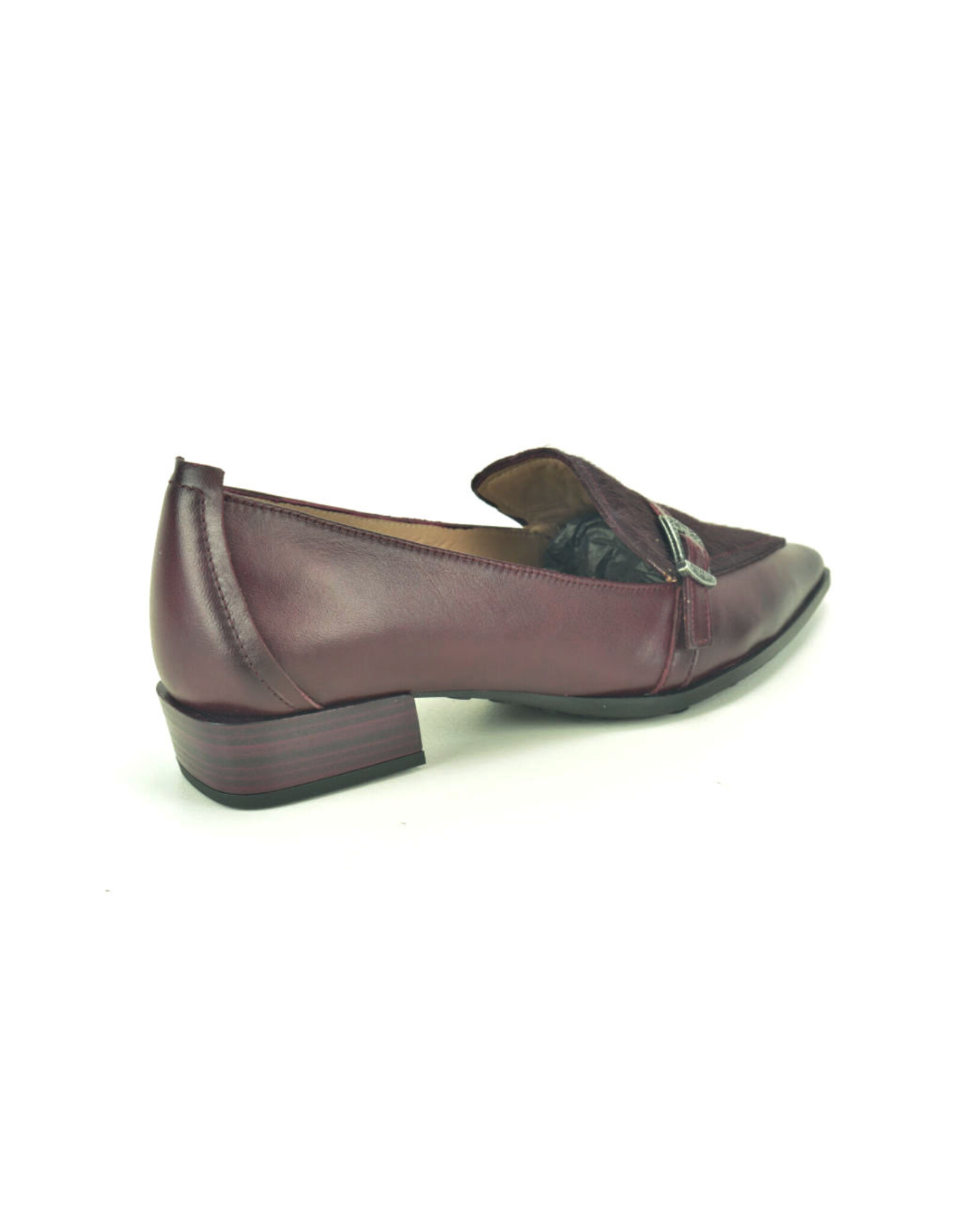 Hispanitas 16319 kleur