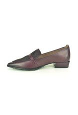 Hispanitas 16319 kleur