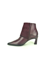 Hispanitas 16320 kleur