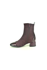 Hispanitas 16323 kleur