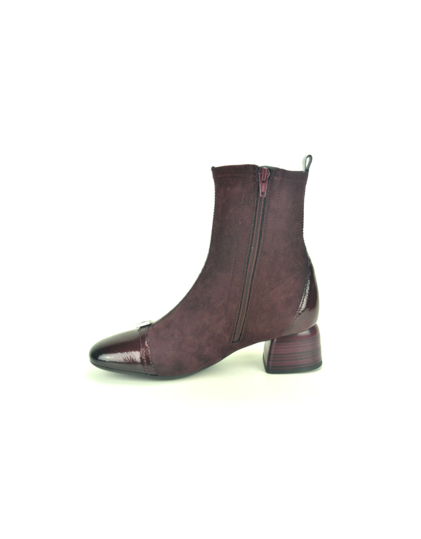 Hispanitas 16323 kleur