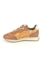 Hispanitas 16330 cognac bruin