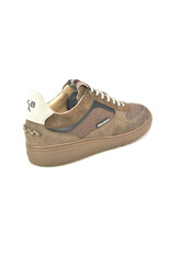 Floris van Bommel 16346 taupe