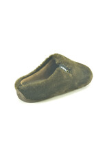 Verbenas 16184 bruin
