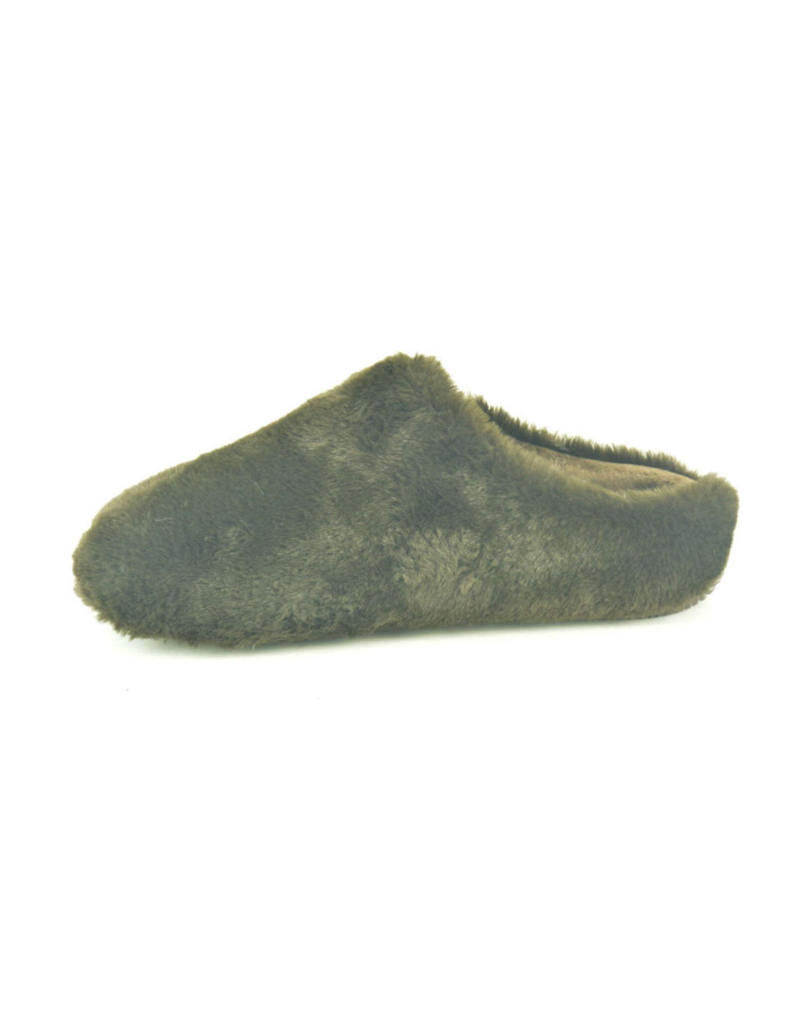Verbenas 16184 bruin