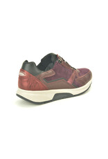 Gabor 16201 kleur